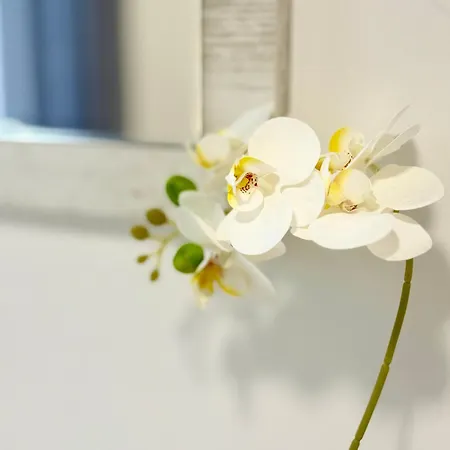 Appartamento In The Heart Of Varna-by The Sea And Sea Garden Varna