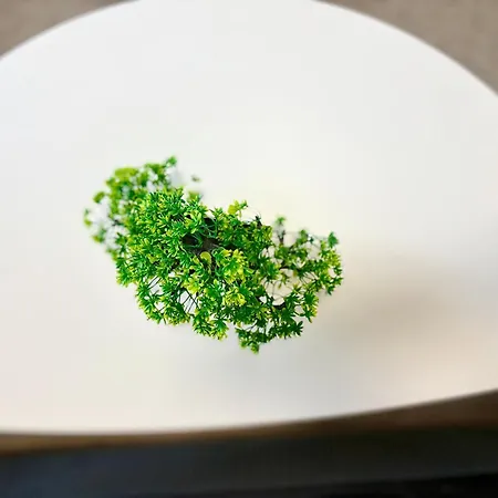 In The Heart Of Varna-by The Sea And Sea Garden * Varna