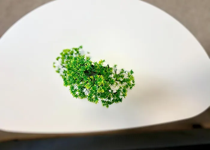 In The Heart Of Varna-by The Sea And Sea Garden * ヴァルナ