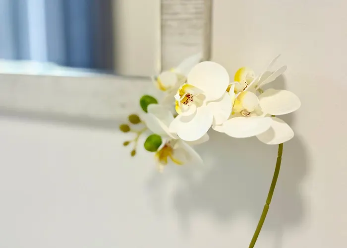 アパート In The Heart Of Varna-by The Sea And Sea Garden ヴァルナ